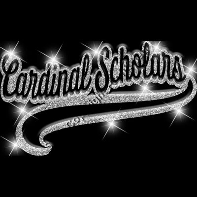 GLT78   SILVER GLITTER Thumbnail